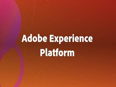 adobe exp platform