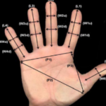 Hand Geometry Recording